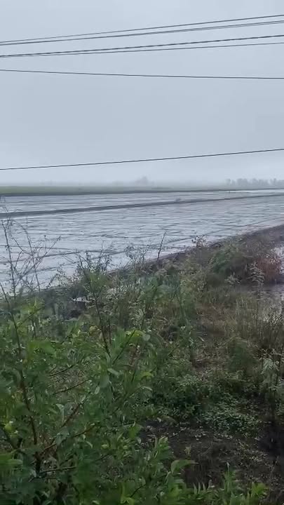 Đất ruộng 6000m² mặt tiền sông T4, giá chỉ 122 triệu - Cơ hội đầu tư tuyệt vời!