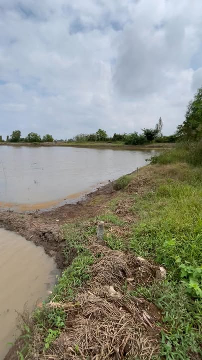 Đất nền mặt tiền sông Rạch Giá, Hòn Đất 61200m² giá 4.95 tỷ - Cơ hội đầu tư tuyệt vời!