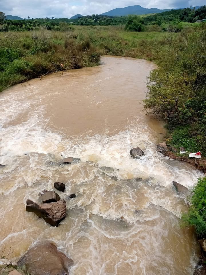 Đất Farm 1ha tại Krông Nô, Đắk Lắk giá 1.2 tỷ - Gần khu dân cư, tiện lợi!