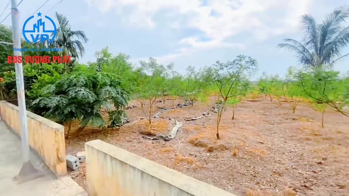 Đất mặt tiền đẹp tại Bình Hòa, Giao Thủy 375m² giá 1.5 tỷ - Đầu tư sinh lời ngay!