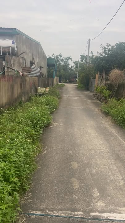 Đất thổ cư 216m² tại thôn Trung Bắc, xã Lâm Trung Thủy - Giá chỉ 730 triệu, cơ hội vàng đầu tư!