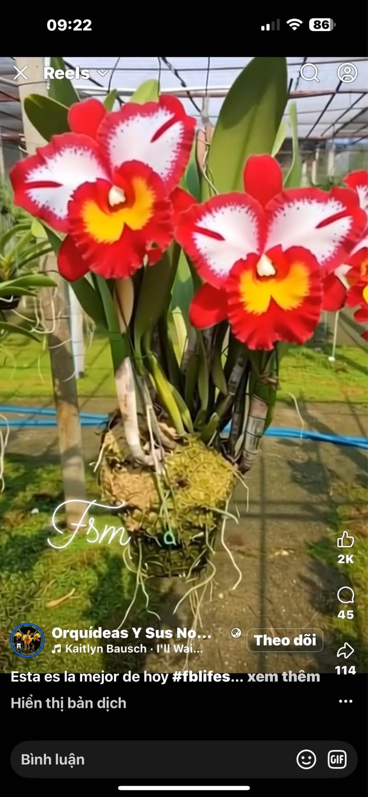 Nhà mặt phố Nguyễn Danh Đới, Thái Bình 52m² giá 3 tỷ - Kinh doanh thuận lợi!