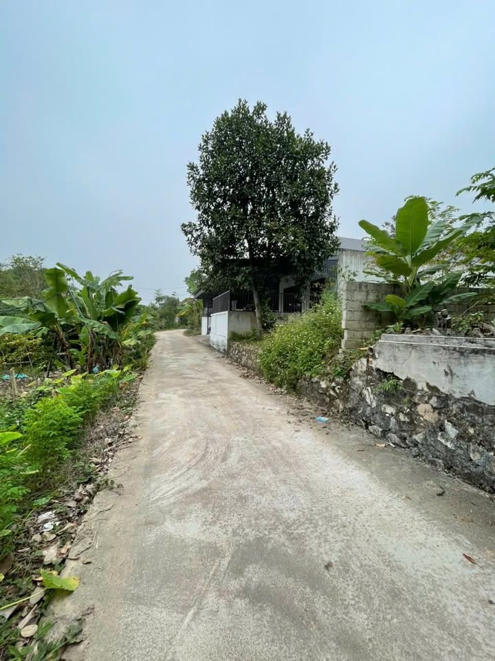 Đất Thịnh Đán 306m² giá 2 tỷ - Mặt tiền rộng, ô tô vào tận nơi!