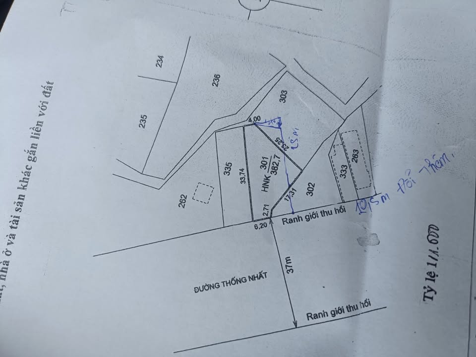 Đất mặt tiền đường Thống Nhất, Bảo An, 170m² giá chỉ 2.95 tỷ - Cơ hội đầu tư hấp dẫn!