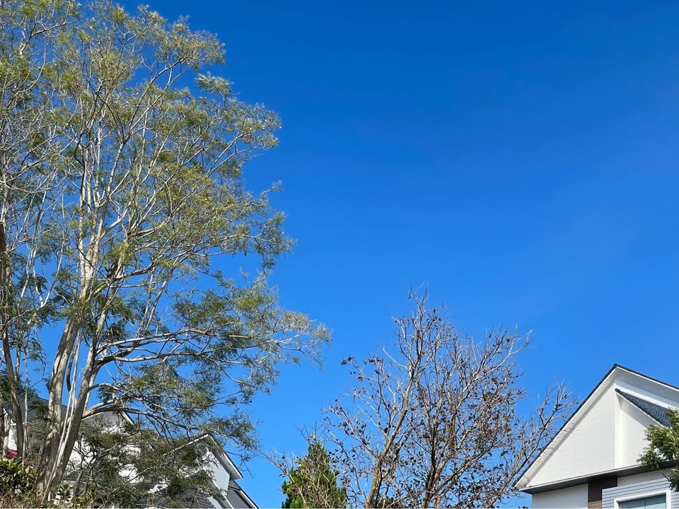 Bán đất biệt lập 2 mặt tiền Phù Đổng, Đà Lạt 200m² giá 9.4 tỷ - View thung lũng thoáng đãng!