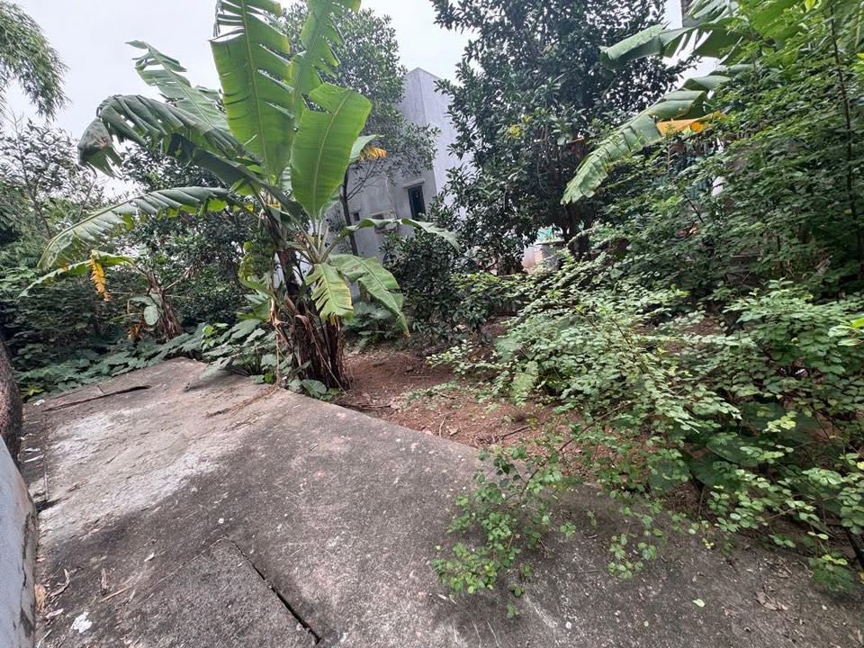 Đất Kim Sơn - Gia Lâm 52m² giá 3 tỷ - Đầu tư lý tưởng ngay hôm nay!