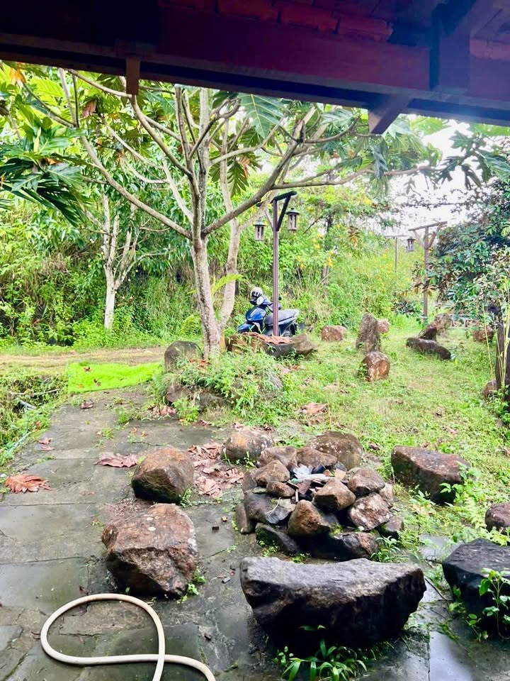 Cho thuê Homestay tại hẻm Lam Sơn, Lộc Sơn - Chỉ 3.5 triệu/tháng, đầy đủ nội thất!