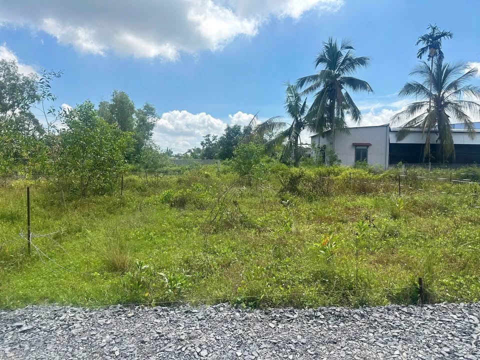 Đất thổ cư Phú Hòa, Định Quán 135m² giá 400 triệu - Sổ hồng riêng chính chủ!