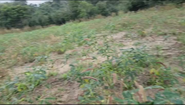 Đất nền Kon Thụp 21600m² giá chỉ 250 triệu - Cơ hội đầu tư hấp dẫn!