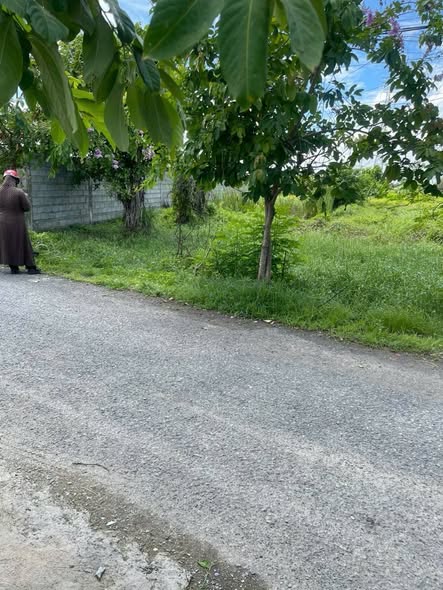 Đất mặt tiền đường nhựa 2250m² xã Bình Mỹ, Củ Chi - Giá 3,98 tỷ, bớt lộc!