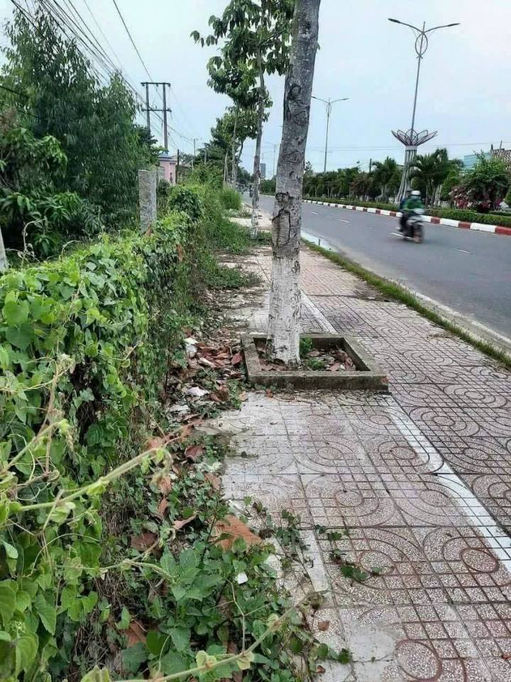 Đất nền Thanh Bình, Đồng Tháp 540m² giá 4.3 tỷ - Đầu tư sinh lời ngay!