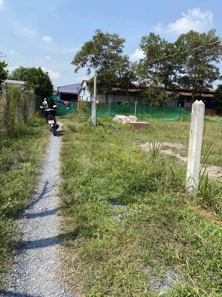 Đất thổ cư Suối Đá, Dương Minh Châu 330m² chỉ 729 triệu - Cơ hội đầu tư hấp dẫn!