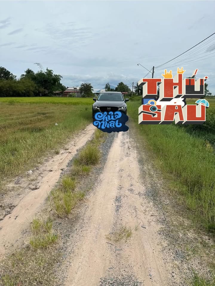 Đất nền Thạnh Bình, Tân Biên 200m² chỉ 130 triệu - Cơ hội vàng cho đầu tư!