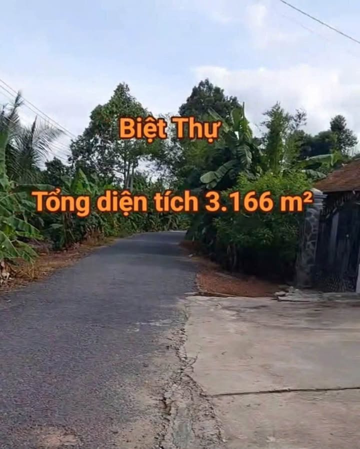 Biệt thự vườn Gò Dầu Tây Ninh 3166m² - Full nội thất sang trọng!