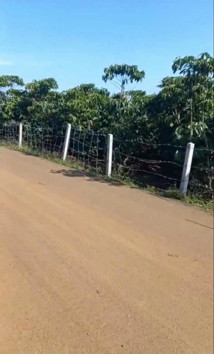 Đất nền đường Hoàng Diệu, Bảo Lộc 14m² giá 1.5 tỷ - Đầu tư sinh lời ngay!