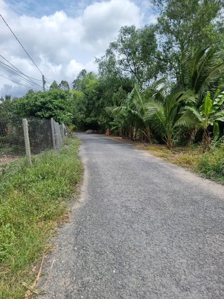 Đất nền Phường Tân Hạnh Vĩnh Long 2000m² giá 2.3 tỷ - View sông mát mẻ, đầu tư sinh lời!