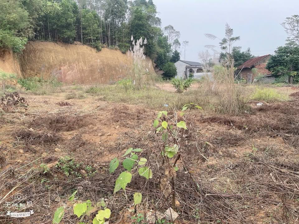 Đất thổ cư Phong Châu, Phú Thọ 100m² giá 700 triệu - Đầu tư tiềm năng cao!