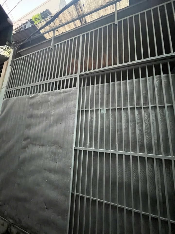 Nhà cho thuê đường số 4 Phường 11 Gò Vấp 56m² giá 7.5 triệu - Thương lượng tốt!