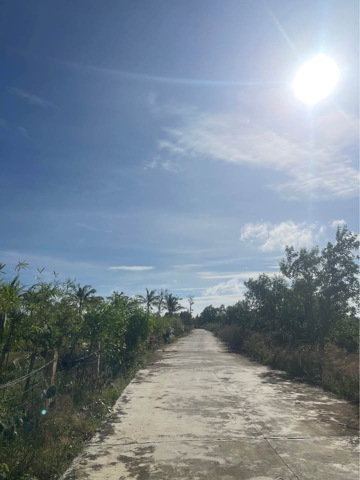 Đất nền Phan Thiết 1000m² giá 2 tỷ - Đầu tư sinh lời ngay!