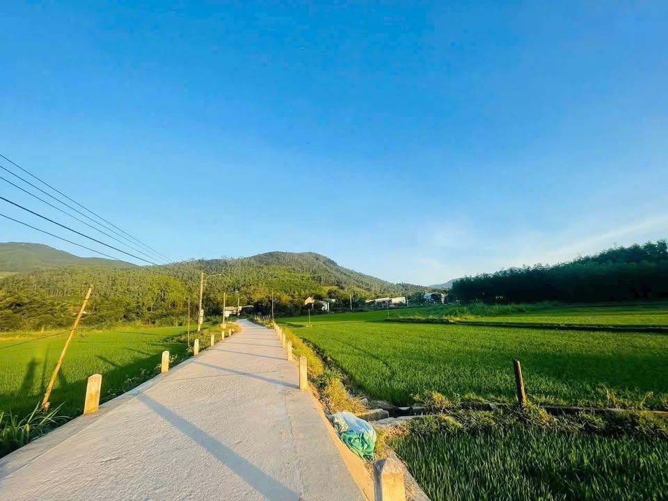 Đất nền Hòa Nhơn Đà Nẵng 120m² giá chỉ 900 triệu - Sổ đỏ chính chủ!