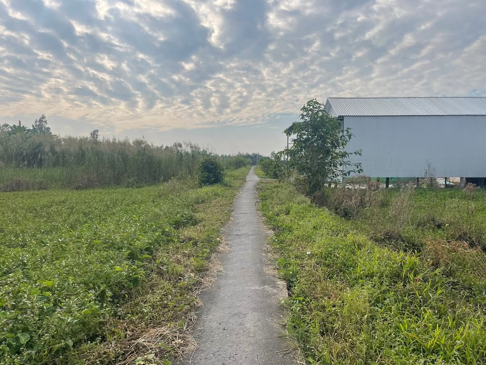 Đất nền Thới Đông, Cờ Đỏ 334m² giá 600 triệu - Mặt tiền kênh thoáng mát!