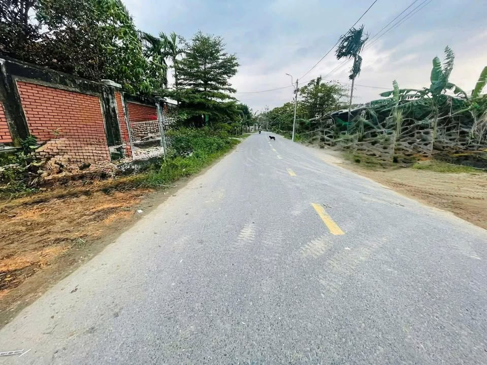 Bán gấp FrontHouse mặt tiền đường Nguyễn Hoàng, Đông Hà 150m² - Giá chỉ 700 triệu!