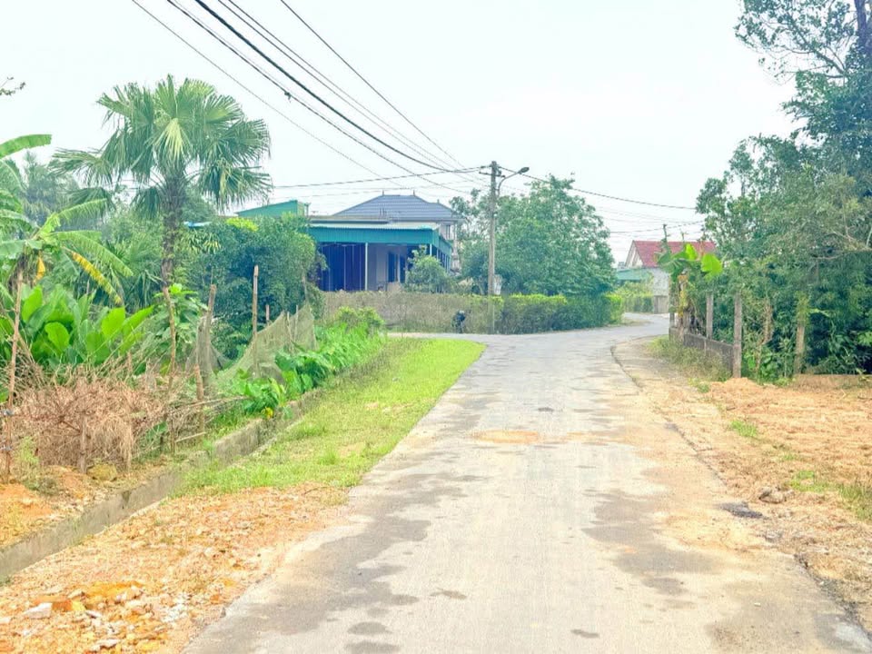 Đất thổ cư thôn Lộc Nội, Thạch Xuân 160m² - Giá thương lượng hấp dẫn!