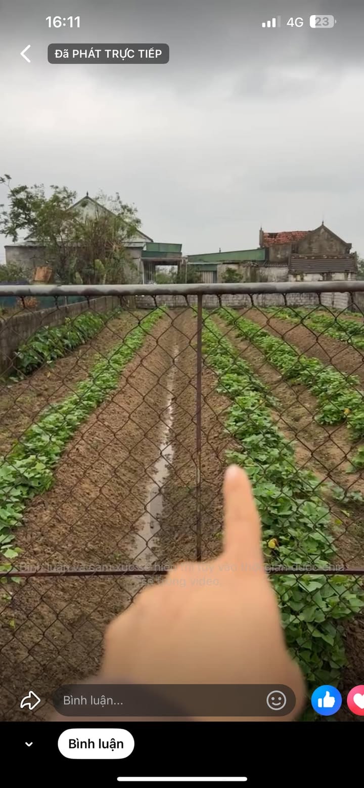 Đất nền Xuân Thành 360m² giá thỏa thuận - Đầu tư sinh lời tuyệt vời!