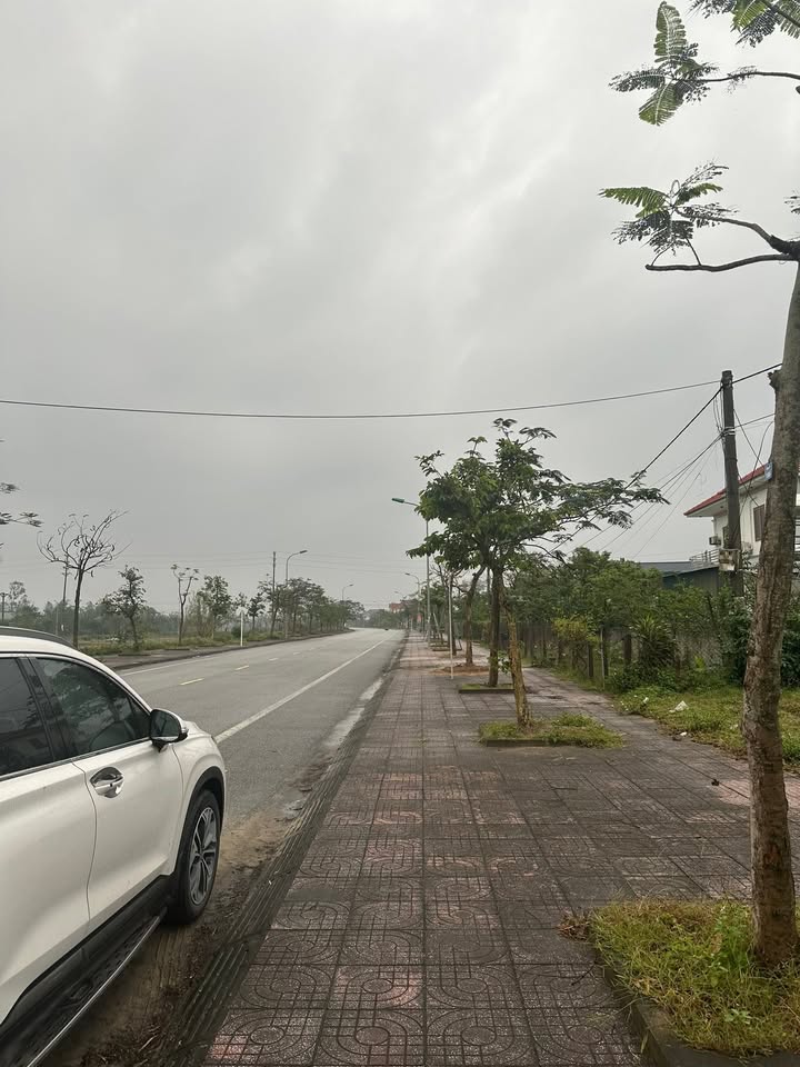 Đất nền Nghi Xuân 160m² giá 3.1 tỷ - Đường Nguyễn Hành, vị trí đắc địa!