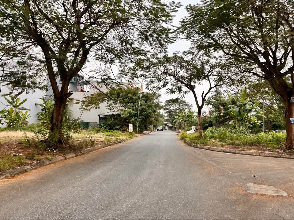 Đất lô góc 73m² An Trì, Hồng Bàng - Giá chỉ 3,28 tỷ - Cơ hội đầu tư tuyệt vời!