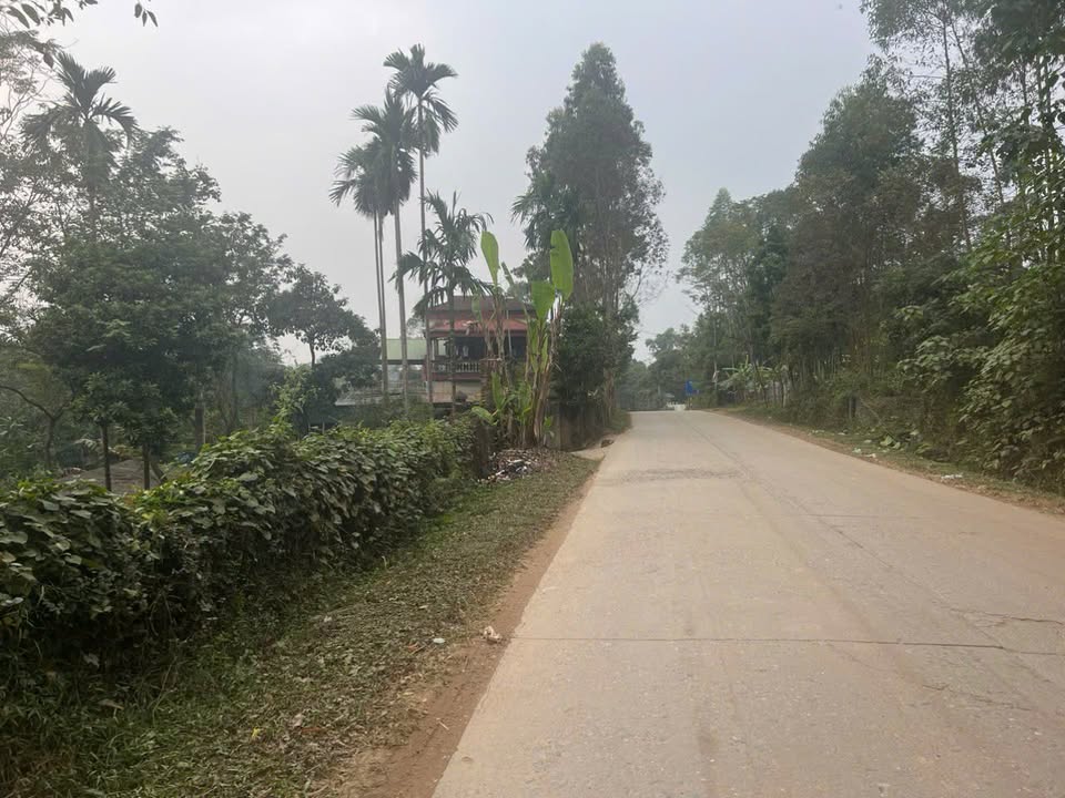 Đất thổ cư Phú Nham, Phù Ninh 150m² giá 1 tỷ - Đầu tư sinh lời ngay!