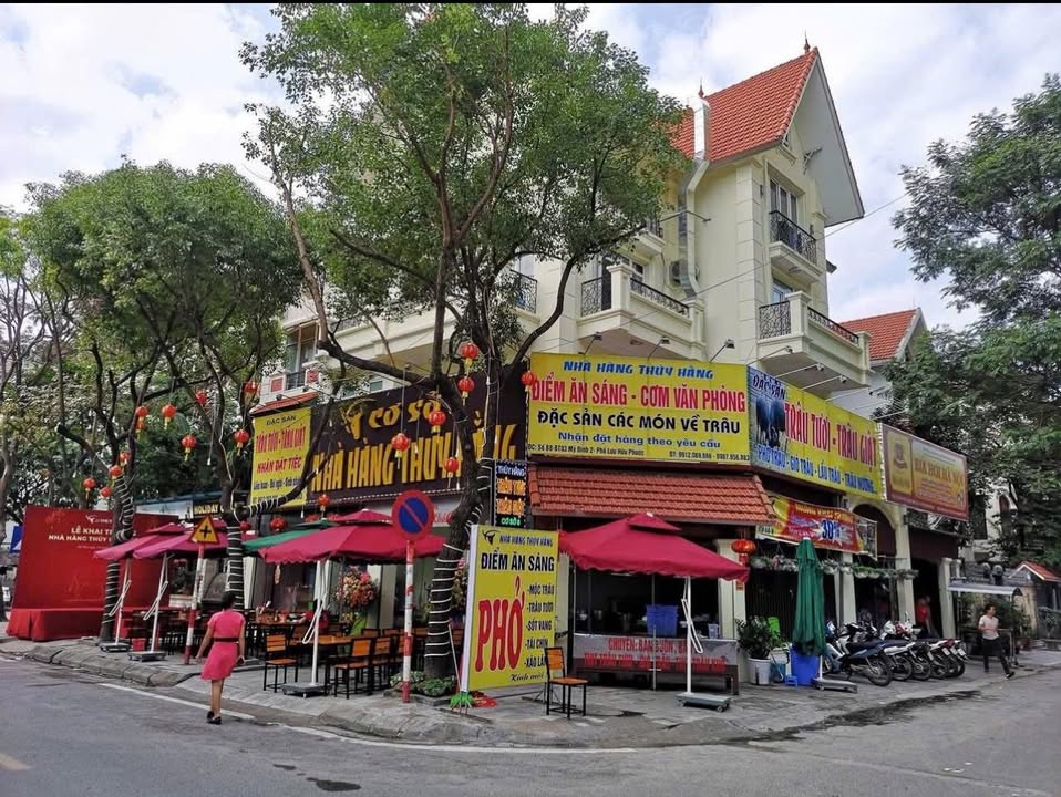 Biệt thự lô góc Hàm Nghi 500m² giá thỏa thuận - Không gian mở hiếm có!