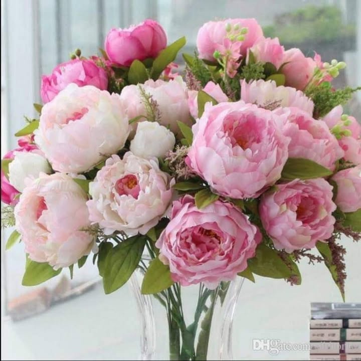 Đất nền Trại Lẻ, Lê Chân 66m² giá thỏa thuận - Nhà 2 tầng về ở ngay!