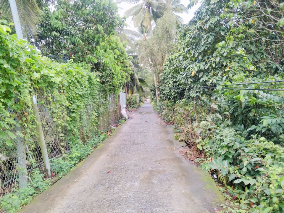 Đất nền 300m² tại Phường Phước Thới, Quận Ô Môn - Giá chỉ 850 triệu VND!