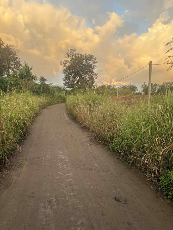 Đất nền 6000m² tại Tam Giang, giá 1.2 tỷ - Pháp lý rõ ràng, đầu tư sinh lời!