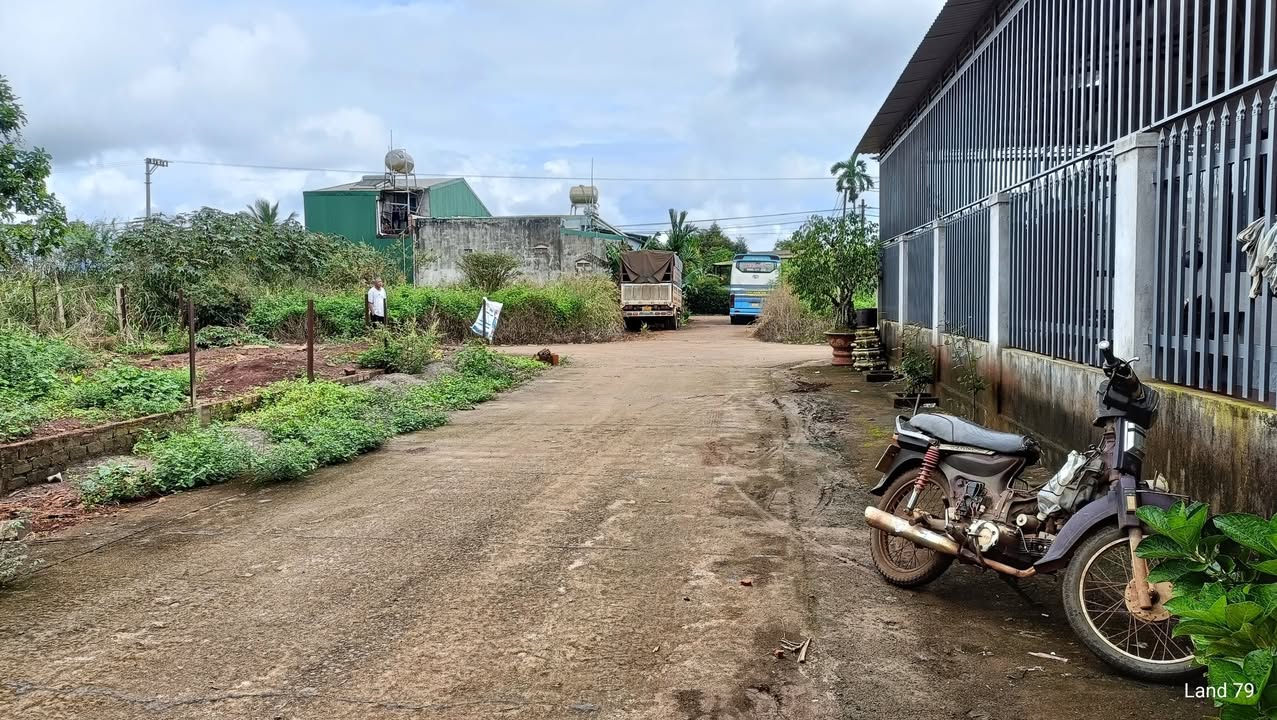 Đất nền Phú Lộc Krông Năng 132m² giá 1.3 tỷ - Đắc địa kinh doanh