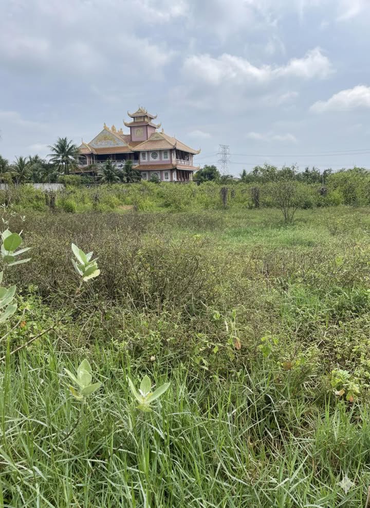 Lô đất Tiến Lợi, Phan Thiết 97.2m² chỉ 720 triệu - Cơ hội đầu tư tuyệt vời!