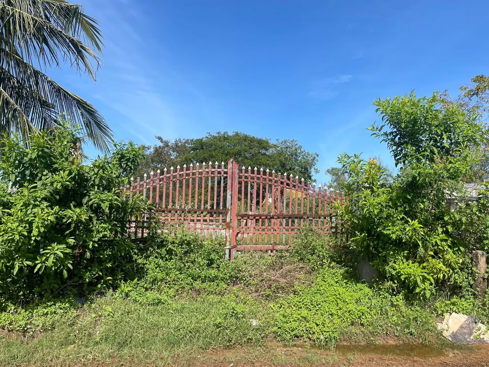 Đất nền Hàm Liêm, Hàm Thuận Bắc 133.8m² giá 700 triệu - Đầu tư sinh lời ngay!