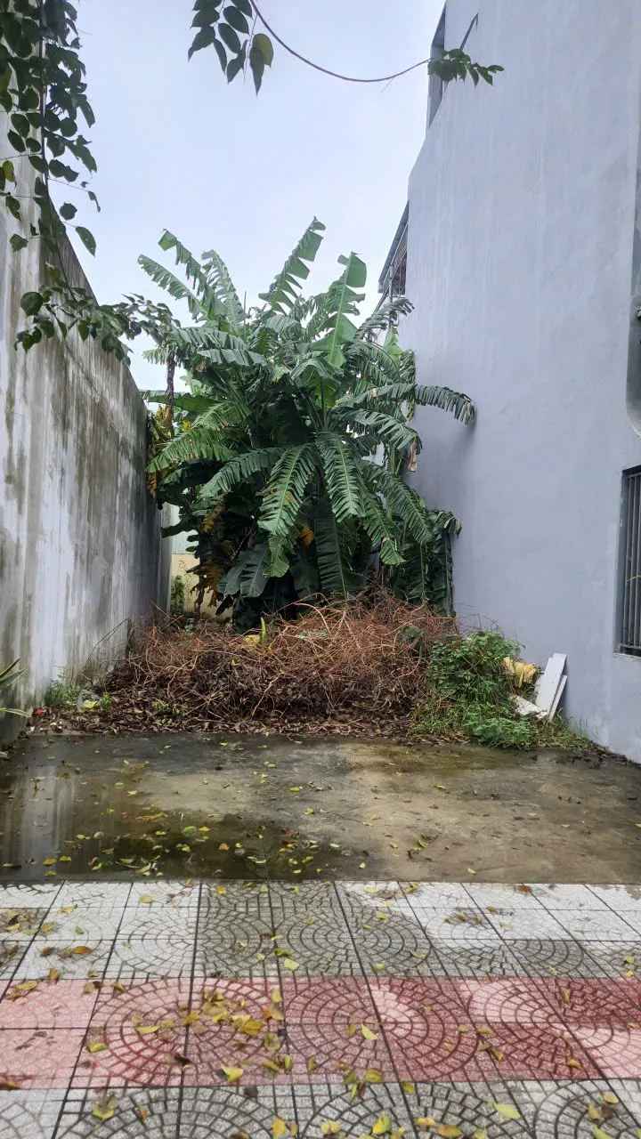 Lô đất 100m² đường Thanh Lương 8, phường Hòa Xuân, Đà Nẵng - Giá chỉ 6.1 tỷ
