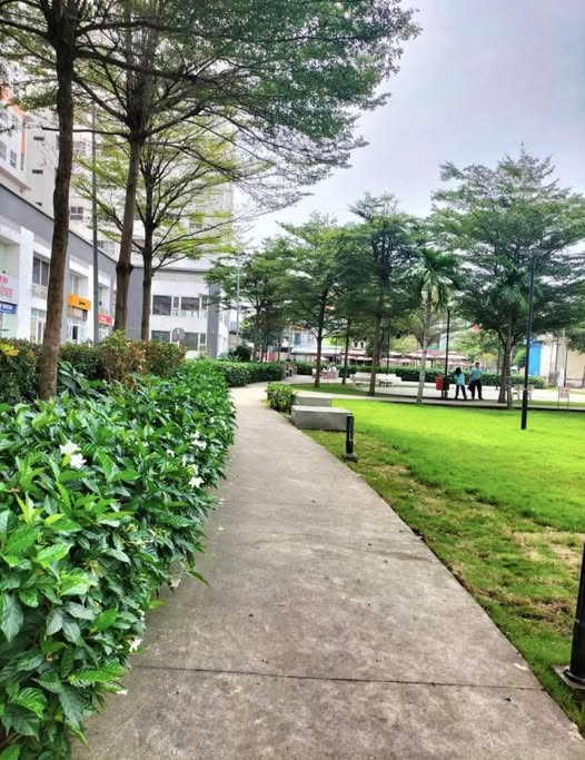 Căn hộ 2PN chung cư 9 View Quận 9 giá 2.86 tỷ - Sẵn sàng vào ở!