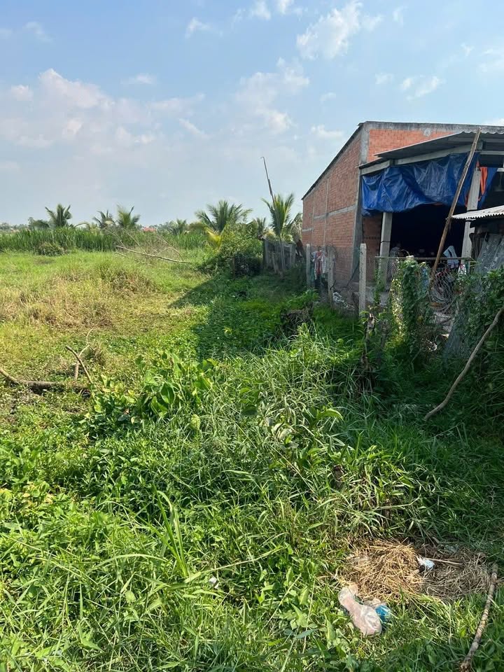 Đất nền thổ cư 250m² xã Mỹ Thạnh Tây, giá 380 triệu - Cơ hội đầu tư tốt!