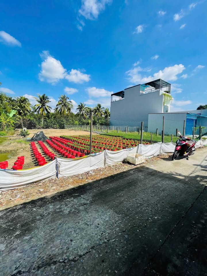 Đất Thổ Cư Mỹ Phong 225m² giá 1.49 tỷ - Hướng Nam, Sổ Đỏ Chính Chủ!