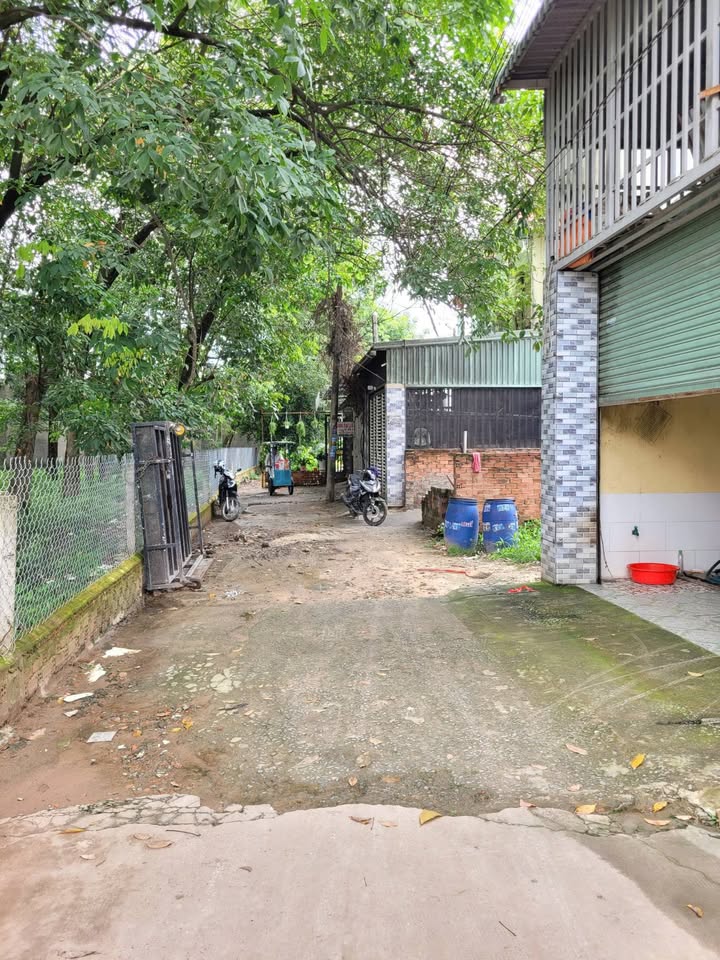 Đất thổ cư 88.5m² tại Bình Chuẩn, Thuận An - Giá chỉ 2.55 tỷ, xây dựng tự do!