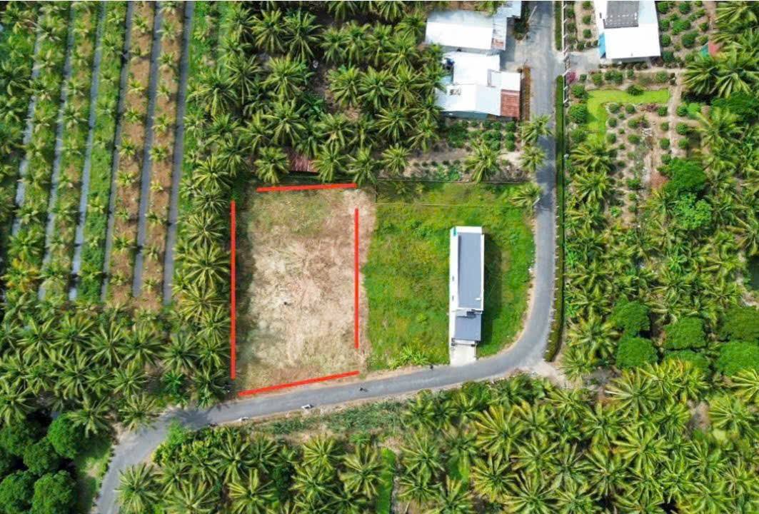 Đất thổ cư mặt tiền xã Ngãi Tứ, 280m² giá 680 triệu - Cơ hội đầu tư tuyệt vời!