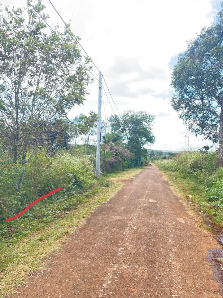 Đất nền Diên Hồng, Pleiku 290m² giá 500 triệu - Sổ đỏ chính chủ!