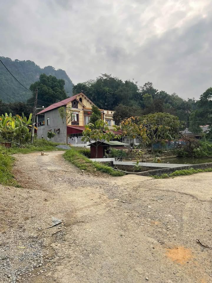 Đất thổ cư Bản Tùy, Ngọc Đường 316.6m² giá thương lượng - Thiết kế nhà vườn lý tưởng!