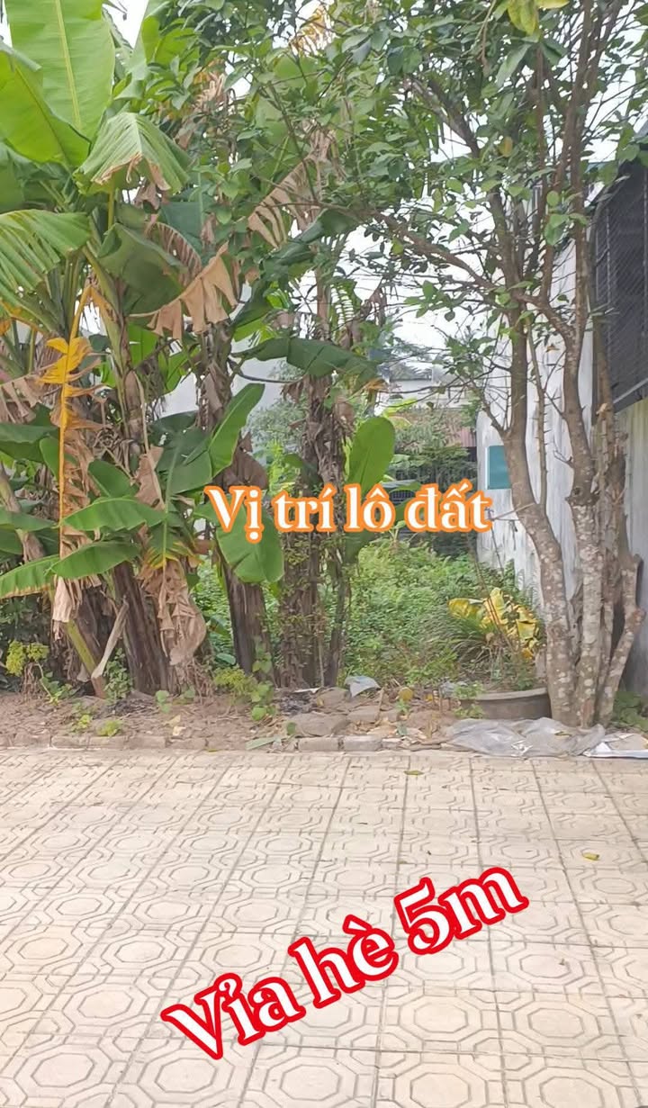 Đất nền Thượng Tổ, Thanh Châu 99m² giá 3 tỷ - Sổ đỏ chính chủ!