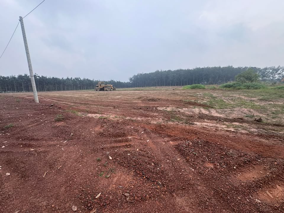 Đất thổ cư Chính chủ tại Minh Thành, 4500m² - Sổ đỏ công chứng ngay!