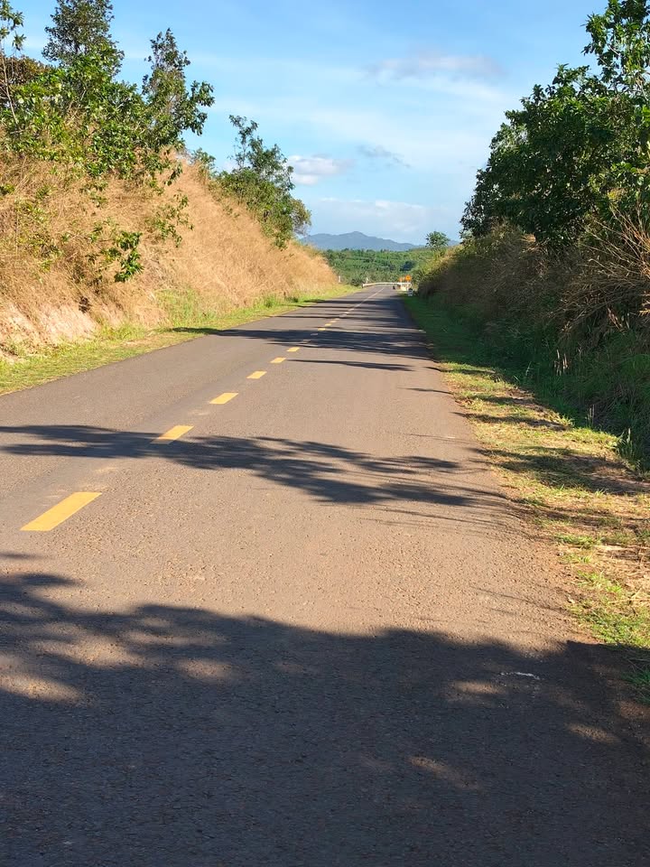 Đất mặt tiền đường liên huyện Ia Boòng 6300m² - Sổ hồng chính chủ, giá chỉ 840 triệu!