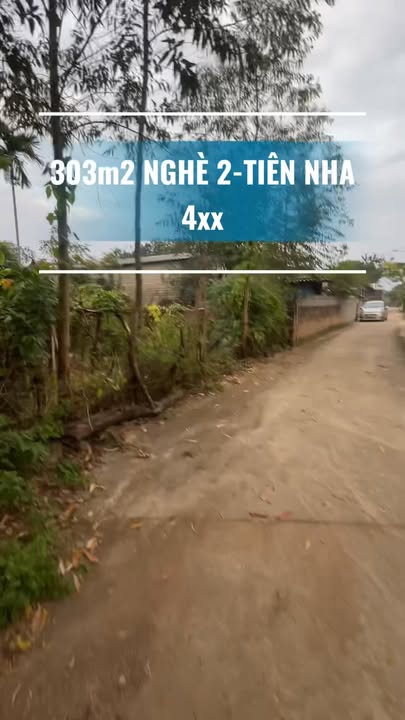 Đất nền Tiên Nha Lục Nam 303m² giá 400 triệu - Nở hậu hấp dẫn!